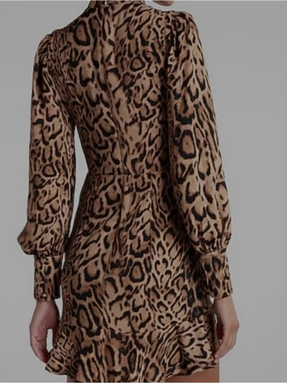 Express Leopard Print Ruffle-Hem Mini Dress - Tan & Black - Picture 2 of 5